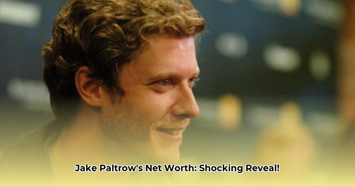 jake-paltrow-net-worth